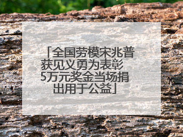 全国劳模宋兆普获见义勇为表彰 5万元奖金当场捐出用于公益
